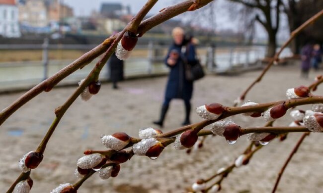 Погода в Одесі знову здивує: що буде 18 лютого