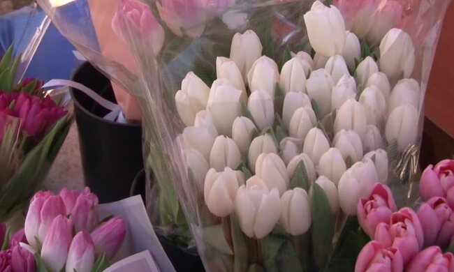 Подорожчання квітів в Запоріжжі, 8 березня
