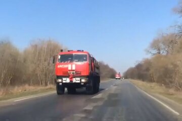 Лісова пожежа наблизилася до Чорнобильської АЕС: тривожні кадри злили в мережу