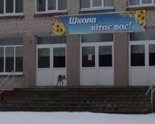 Пугливо оглядывалась по сторонам: в Харькове возле школы заметили косулю, фото