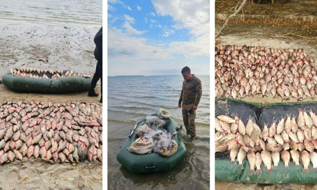 Держекоінспекція