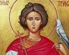 День святого Трифона: головні звичаї, що можна робити і чого краще уникати 28 грудня