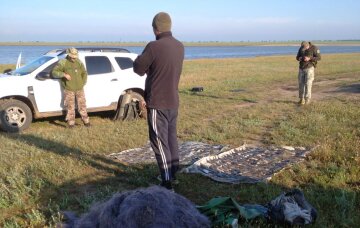 Более 16 миллионов гривен убытков: в Одесской области задержали браконьера прямо в Нацпарке