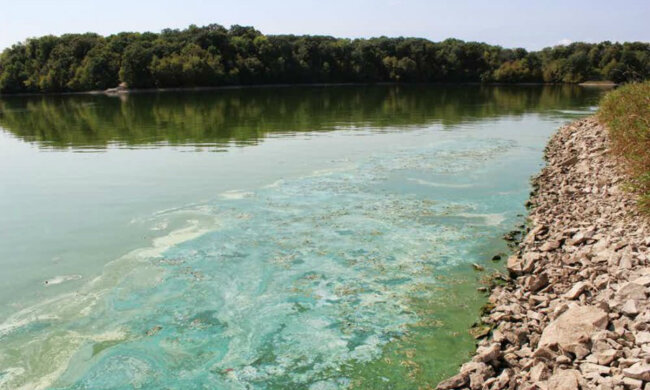 река, химикаты