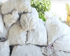 Бесплатные продукты для ВПЛ в Одессе