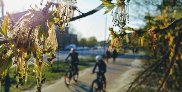 погода весна квітень люди велосипед