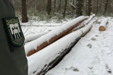 Держекоінспекція