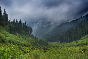 горы, карпаты, дождь