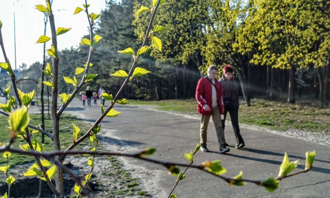 погода весна апрель люди