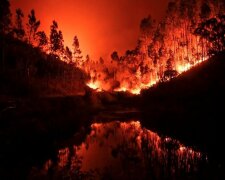 пожар Португалия