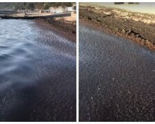 Море в Одессе превратилось в сполошную грязь: "Вперемешку с нефтепродуктами"