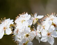 Дефицит продуктов в Запорожье