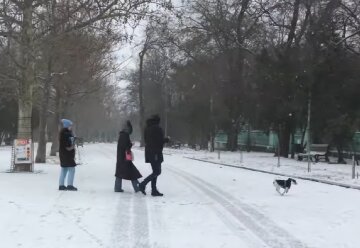 Прогноз погоди на тиждень з 12 по 18 січня в Києві