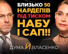 Власенко та Дума
