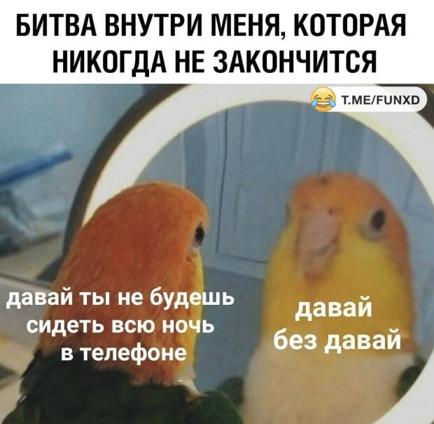 Ударная доза позитива: лучшие анекдоты 30 апреля