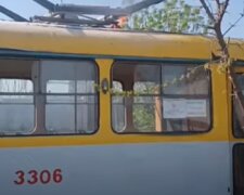 Трамвай загорівся в Одесі, водій заліз на дерево: відео НП