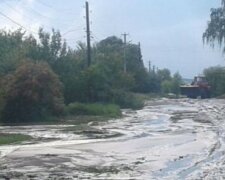 Затопило будинки і двори: потоп обрушився на Харківщину, "рівень води досяг 30 см"