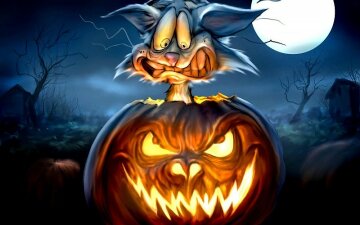 funny-halloween-cat-and-pumpkin-wallpaper-71183