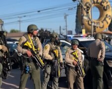 В США назревает что-то вроде гражданской войны, - эксперт о протестах в Калифорнии