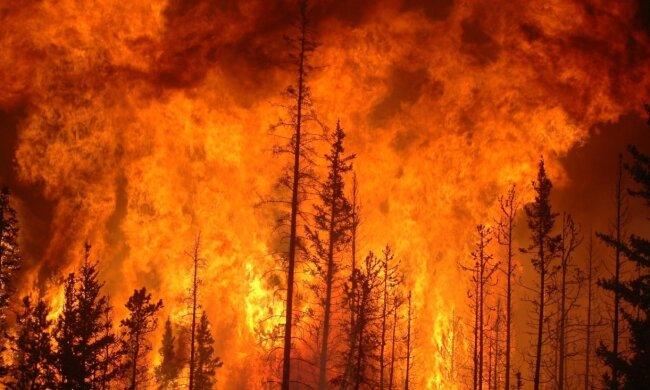 пожар сибирь