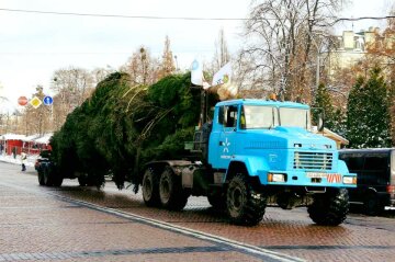 Киевляне хотят избавиться от главной елки страны