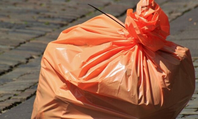 Комунальник знайшов набитий грошима пакет під Одесою: фото і дивовижні подробиці