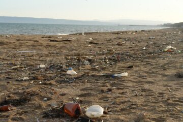 Image result for ужасные пляжи крыма