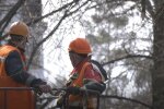Графіки відключення електроенергії у червні в Запоріжжі