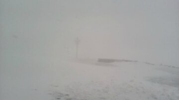 Мощный снегопад и морозы обрушились на Украину:  "леденящие" кадры, "столбики термометров упали до..."