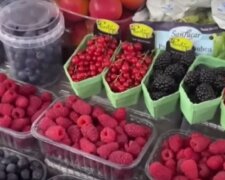 Килограмм малины как минимальная пенсия: популярная ягода теперь роскошь, озвучены цены