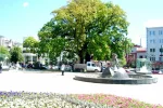 Харьков