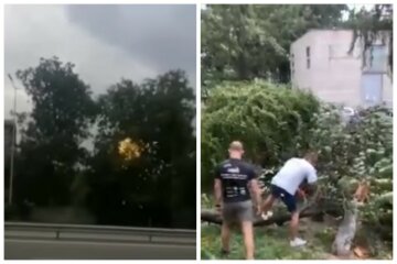 Непогода натворила бед в Украине, ураган срывал рекламные щиты и валил деревья: кадры