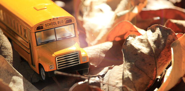 Украинским преподавателям готовы платить 23 тысячи гривен (инфографика)