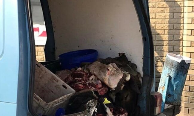 "После увиденного веганами заделаетесь": как харьковчанам развозят мясо, фото