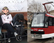 Три 11-летние девочки разрисовали трамвай: отмывать пришлось родителям, видео