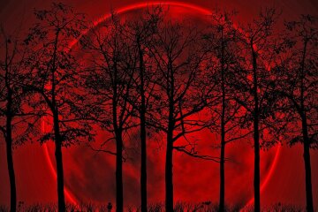 кровавая луна