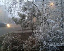 Замерзлий туман прикрасив Одеську область: "Срібна казка"