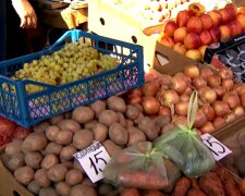 Украине грозит дефицит картофеля, что будет с ценами в ближайшее время: "Качество резко ухудшилось"