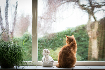 Погода на 15 апреля