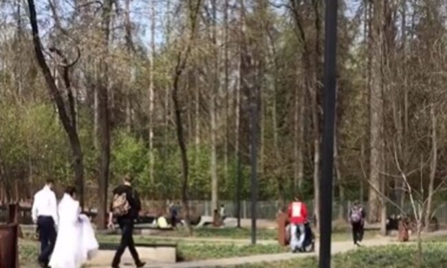 "Давайте и роды запретим": харьковчан обескуражила свадьба в разгар карантина, фото