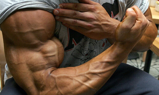 бицепс, мышцы