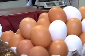 яйця, продукти, базар