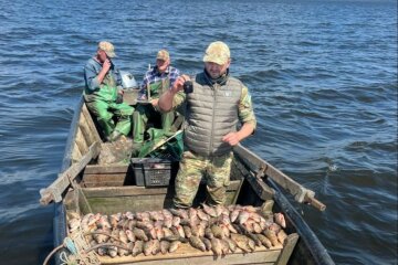 Госэкоинспекция Столичного округа зафиксировала масштабное нарушение на воде – ущерб на миллион