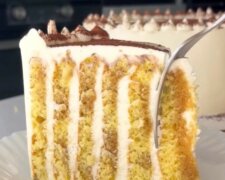 Тает во рту: рецепт мягкого торта с домашним кремом на сливочном сыре, видео