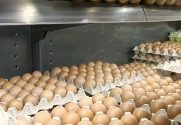 ����: politeka.net