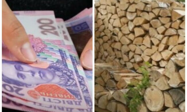 Украинцы могут получить деньги на покупку дров и угля: кому окажут денежную помощь