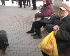 Бесплатные продукты для ВПЛ и пенсионеров в Одессе
