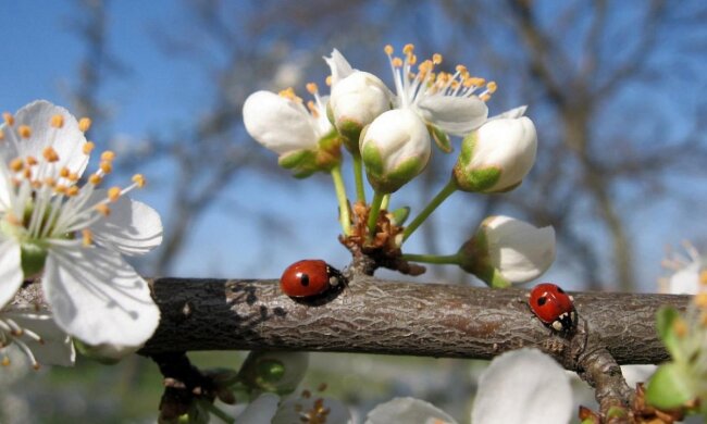 Погода на 3 апреля