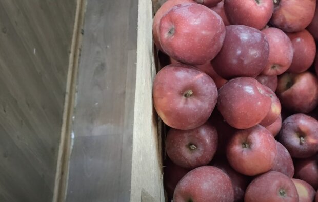 ����: politeka.net