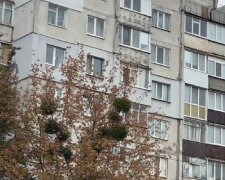 Безкоштовне житло для ВПО в Запоріжжі